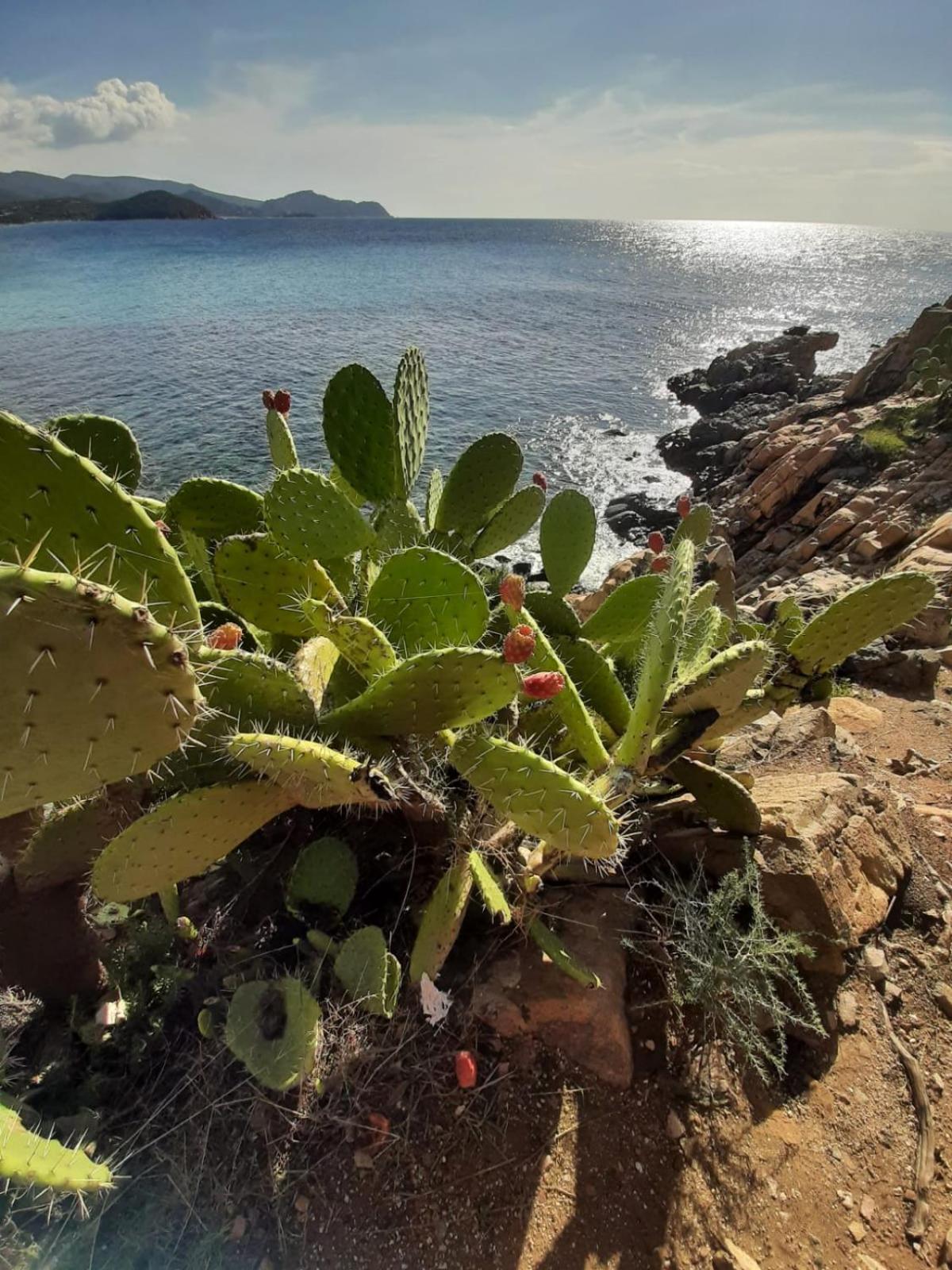 Resonance Experience - Tranquil Room Close To Beaches And Sacred Sites Sant Isidoro  Exterior foto